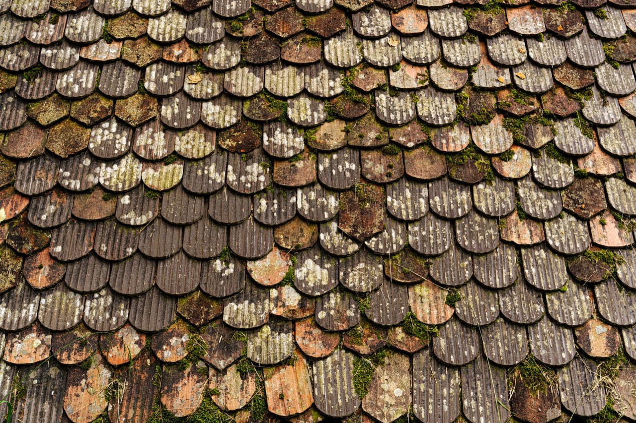 Overlapping scalloped roof tiles weathered to brown and grey, with moss growing along the joints